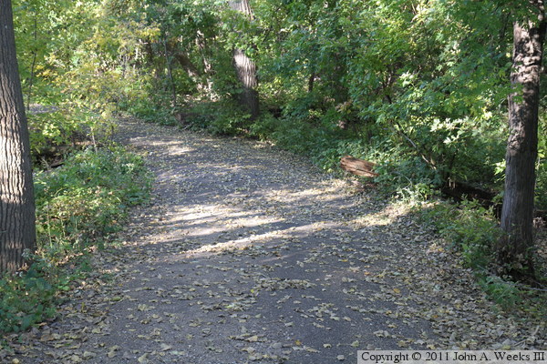 Islands Of Peace Regional Park