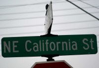 California Street Sign