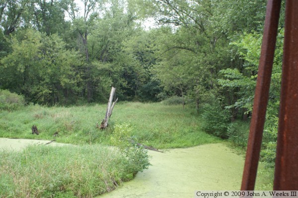 McGilvray Road Bridge #2