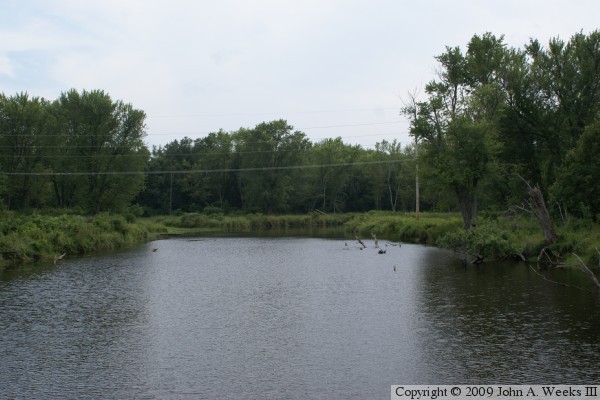 McGilvray Road Bridge #5