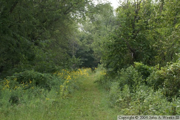 McGilvray Road Bridge #5