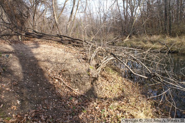 Saint Albans Mill Site