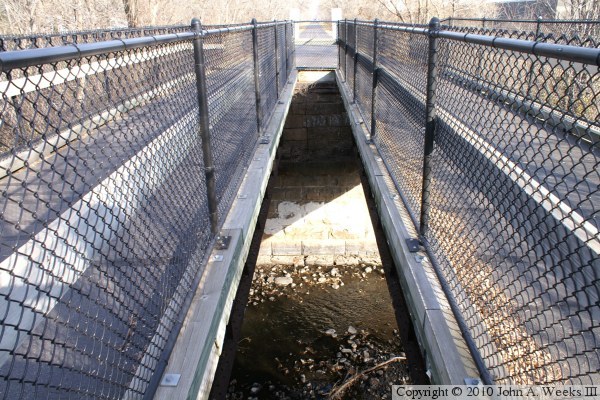 Cedar Lake LRT Trail Bridge