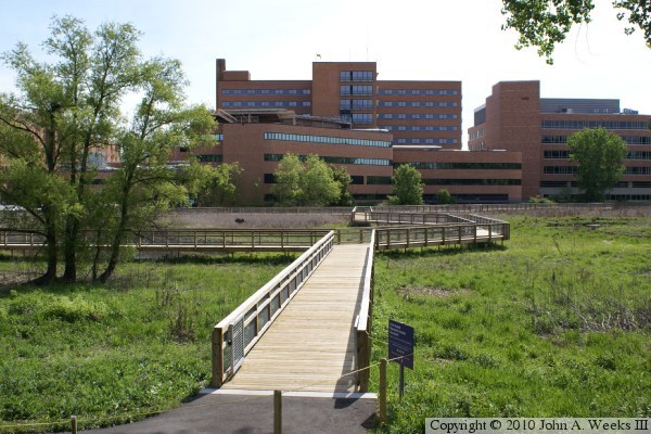 Methodist Hospital Boardwalk