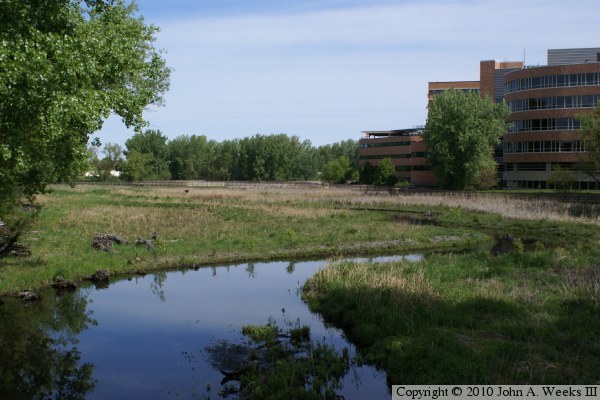 Methodist Hospital Boardwalk