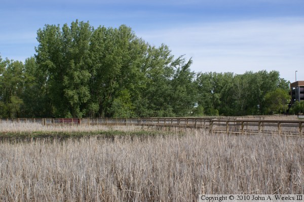 Methodist Hospital Boardwalk