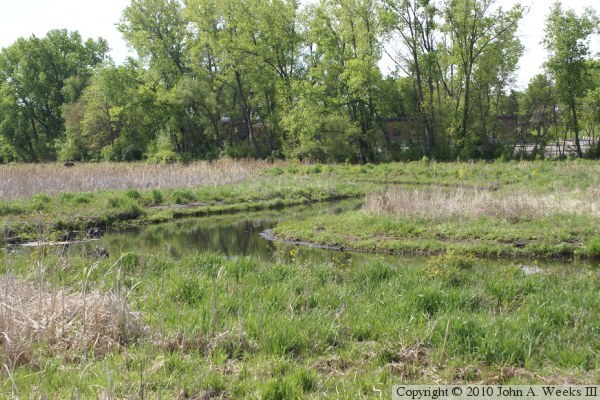 Methodist Hospital Boardwalk