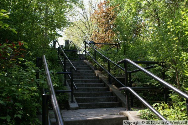 Beard Avenue Footbridge