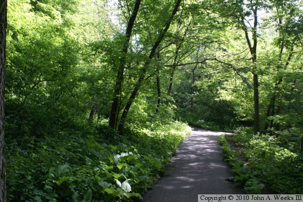 Richfield Mill Site
