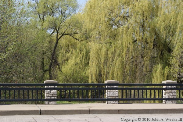 34th Avenue Bridge