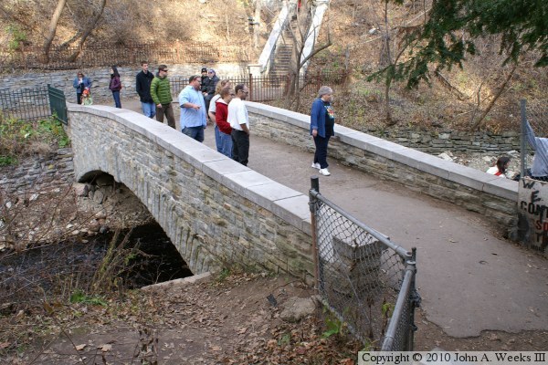 Lower Falls Bridge