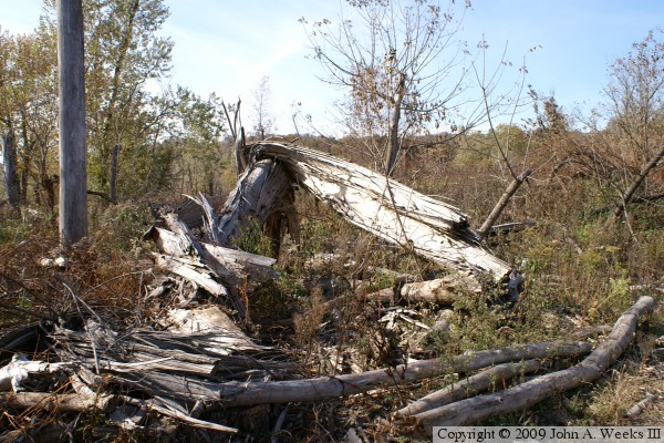 Omaha Bridge Ruins