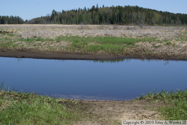 Snowmobile Bridge At Bear Den Landing