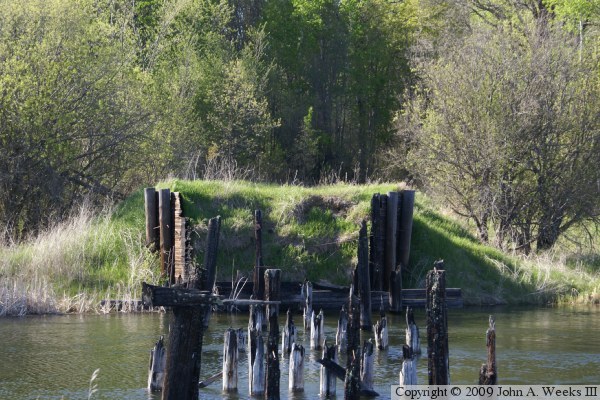 Forest Road 2171 Bridge Ruins