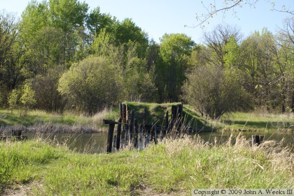 Forest Road 2171 Bridge Ruins