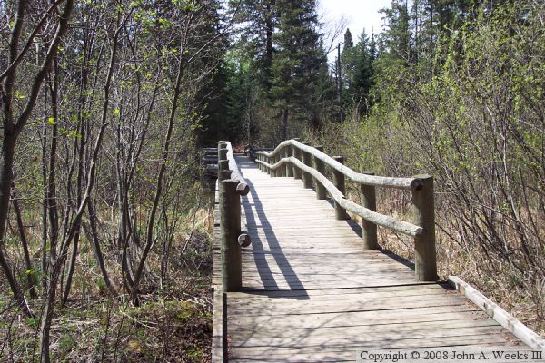 Foot Bridge At Headwaters
