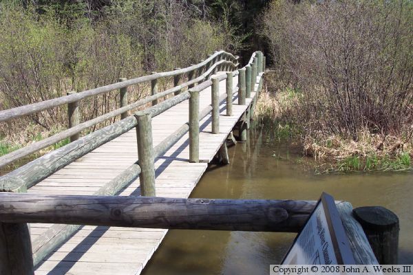 Foot Bridge At Headwaters