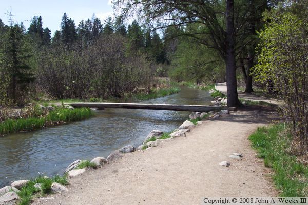 Log Bridge At Headwaters