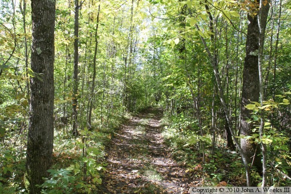 Knife Falls Boom Site