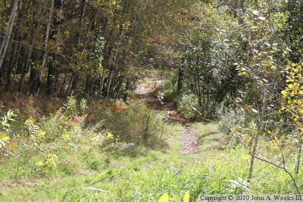 Lake Superior Water Pipeline Bridge