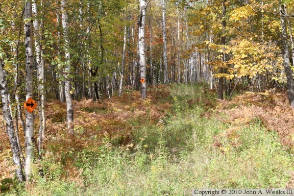 Lake Superior Water Pipeline Bridge