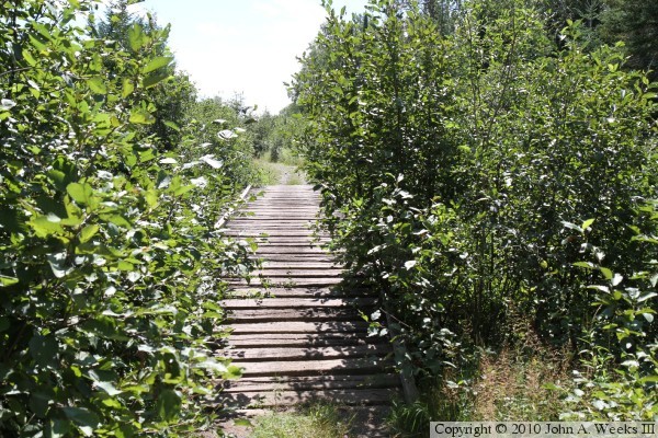 ATV Trail Bridge