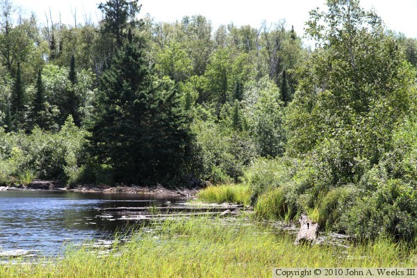Skibo Mill Site