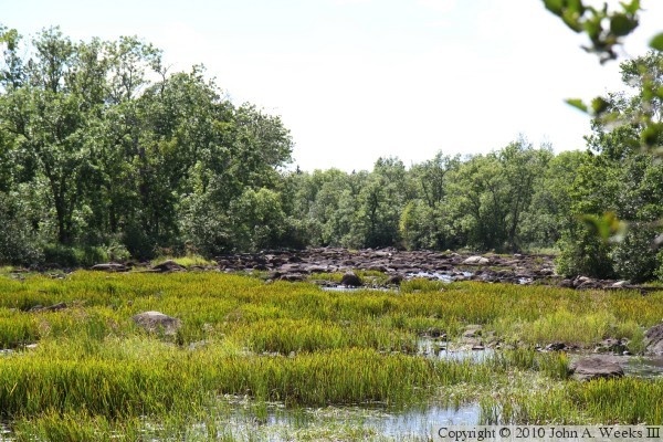 Skibo Mill Site