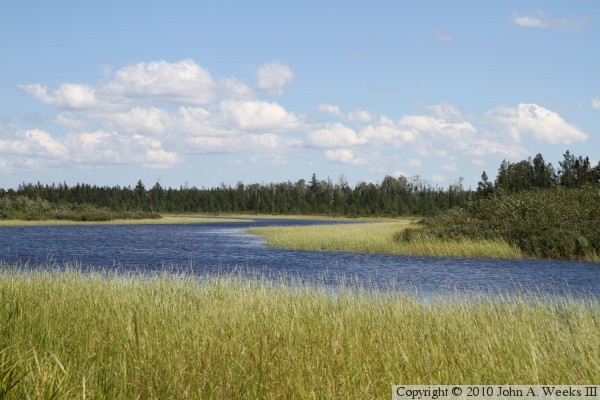 Skibo Mill Site