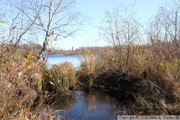 Skibo Mill Site