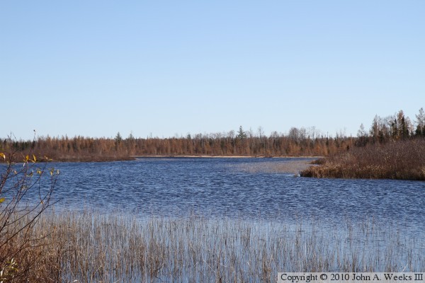 Skibo Mill Site