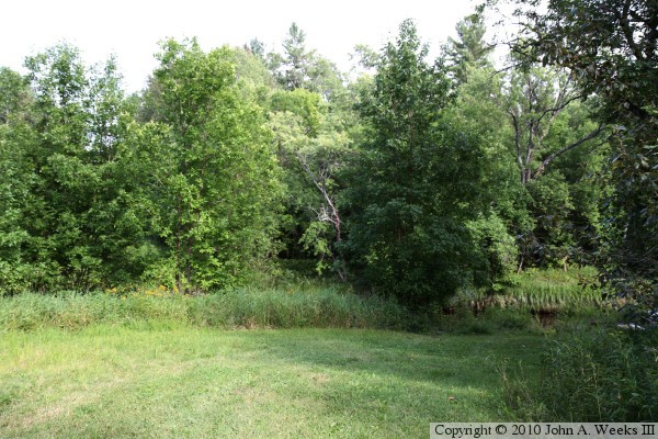 Tark Road Bridge Site