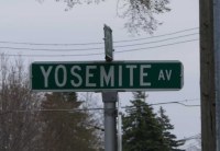 Y