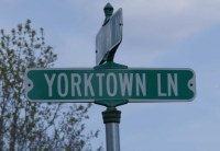 Y