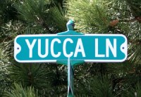 Y