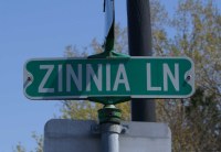 Z