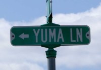 Y