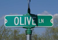 O