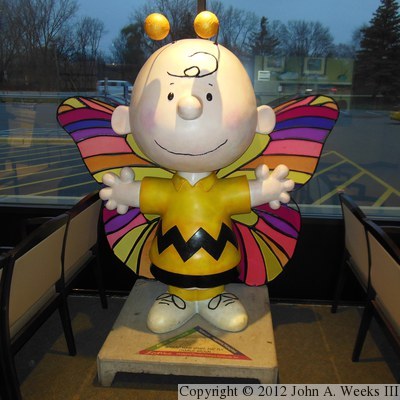 Peanuts On Parade - Charlie Brown About Town - Spread Your Wings And Fly, Charlie Brown