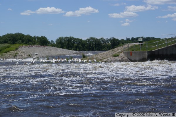 Marsh Lake Dam