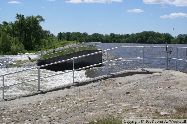 Marsh Lake Dam