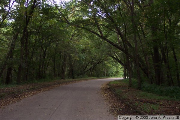 Winona Wagon Bridge